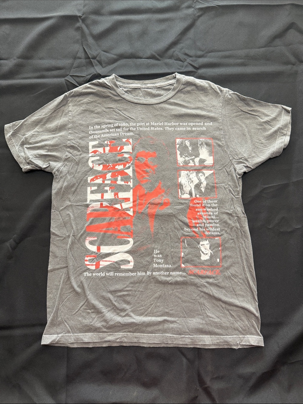 Graphic Short-Sleeve Crewneck T-Shirt in Gray with Red Print